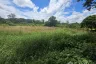 Land for sale in Don Kaeo, Chiang Mai