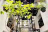 31 Bedroom Hotel / Resort for sale in Suriyawong, Bangkok near BTS Saint Louis