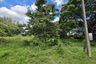 Land for sale in Nong Faek, Chiang Mai