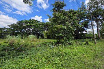 Land for sale in Nong Faek, Chiang Mai