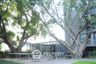 1 Bedroom Condo for sale in The Seed Mingle, Thung Maha Mek, Bangkok near MRT Lumpini