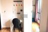 1 Bedroom Condo for sale in Premio Vetro, Lat Yao, Bangkok near BTS Kasetsart University