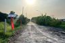 1 Bedroom Land for sale in Rangsit, Pathum Thani