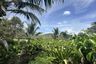 Land for sale in Na Mueang, Surat Thani