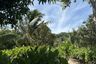 Land for sale in Na Mueang, Surat Thani