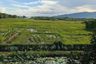 Land for sale in San Sai Luang, Chiang Mai