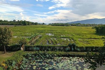 Land for sale in San Sai Luang, Chiang Mai