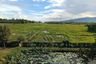 Land for sale in San Sai Luang, Chiang Mai