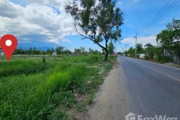 Land for sale in Ban Waen, Chiang Mai
