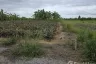 Land for sale in Hin Lek Fai, Prachuap Khiri Khan