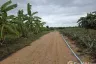 Land for sale in Hin Lek Fai, Prachuap Khiri Khan