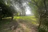 Land for sale in Nong Prue, Chonburi
