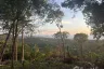 Land for sale in Ang Thong, Surat Thani