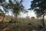 Land for sale in Ang Thong, Surat Thani