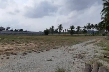 Land for sale in Nong Prue, Chonburi