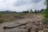 Land for sale in Nong Prue, Chonburi