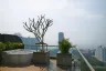 2 Bedroom Condo for Sale or Rent in Nong Prue, Chonburi