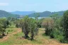 Land for sale in Nong Prue, Chonburi