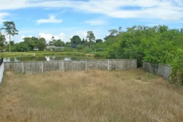 Land for sale in Nong Prue, Chonburi