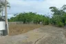 Land for sale in Nong Prue, Chonburi
