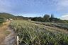 Land for sale in Thap Tai, Prachuap Khiri Khan