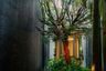 5 Bedroom House for sale in Sonle Residences, Wong Sawang, Bangkok near MRT Wong Sawang