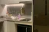 1 Bedroom Condo for rent in M Thonglor 10, Khlong Tan Nuea, Bangkok near BTS Ekkamai