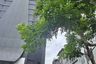 3 Bedroom Condo for rent in Park Origin Chula Samyan, Maha Phruettharam, Bangkok near MRT Sam Yan