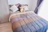 2 Bedroom Condo for rent in Bang Na, Bangkok near BTS Bearing