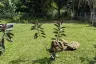 Land for sale in Nam Phrae, Chiang Mai