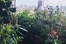 1 Bedroom Condo for sale in Royal Nine Residence, Bang Kapi, Bangkok near MRT Phra Ram 9