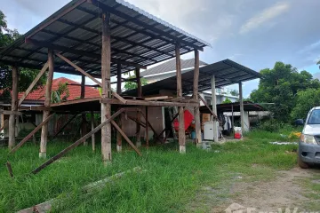 Land for sale in Rong Wua Daeng, Chiang Mai