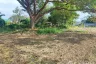 Land for sale in Chai Sathan, Chiang Mai