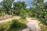 Land for sale in Ko Pha-ngan, Surat Thani