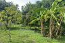 Land for sale in Na Mueang, Surat Thani