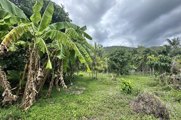 Land for sale in Na Mueang, Surat Thani