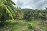 Land for sale in Na Mueang, Surat Thani