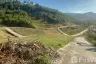 Land for sale in Mae Nam, Surat Thani