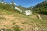 Land for sale in Mae Nam, Surat Thani