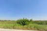 Land for sale in Lam Phak Chi, Bangkok