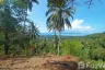 Land for sale in Ban Tai, Surat Thani