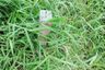 Land for sale in Khlong Sip Song, Bangkok