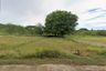 Land for sale in Nong Nam Daeng, Nakhon Ratchasima