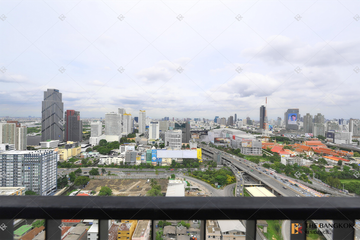 1 Bedroom Condo for rent in Ideo Rama 9 - Asoke, Huai Khwang, Bangkok near MRT Phra Ram 9