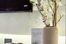 1 Bedroom Condo for rent in The FINE Bangkok Thonglor - Ekamai, Khlong Tan Nuea, Bangkok