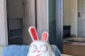 1 Bedroom Condo for rent in Notting Hill Sukhumvit 105, Bang Na, Bangkok near BTS Bearing
