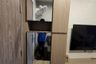 1 Bedroom Condo for rent in NICHE MONO Sukhumvit - Bearing, Samrong Nuea, Samut Prakan near BTS Bearing