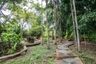Land for sale in Tha Wang Tan, Chiang Mai