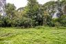 Land for sale in Tha Wang Tan, Chiang Mai