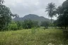 Land for sale in Sam Roi Yot, Prachuap Khiri Khan